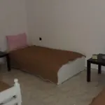 Holiday Apartment